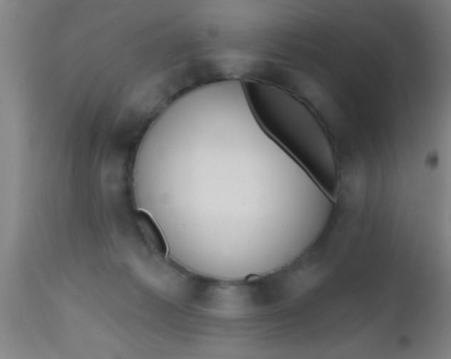 X0000112540221200909071429