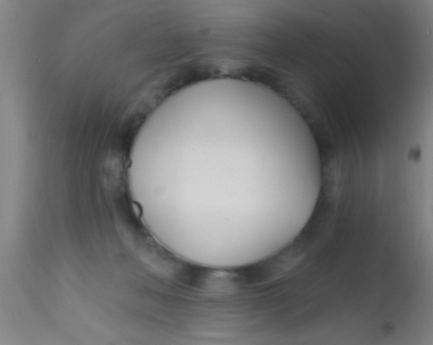 X0000112540222200909071429