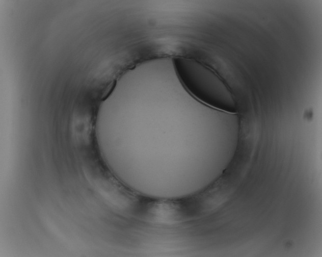 X0000112540223200909071429