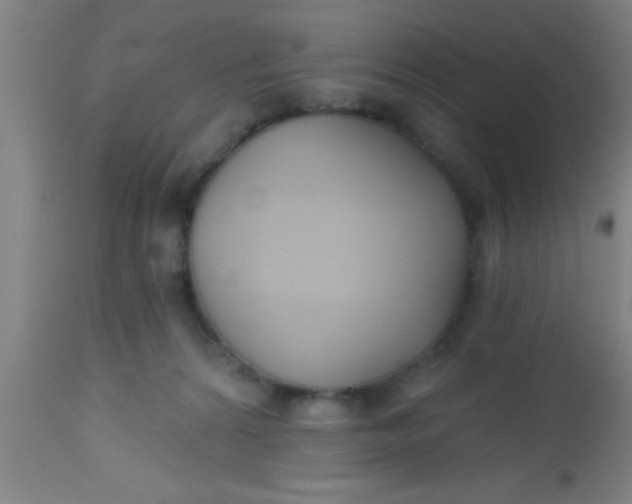 X0000112540224200909071429