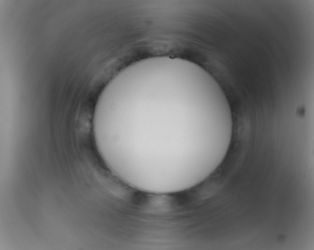 X0000112540226200909071429