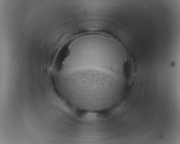 X0000112540227200909071429