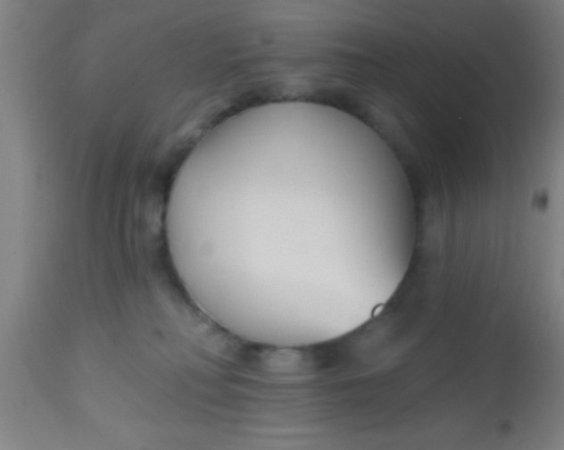 X0000112540230200909071429