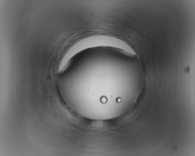 X0000112540231200909071429