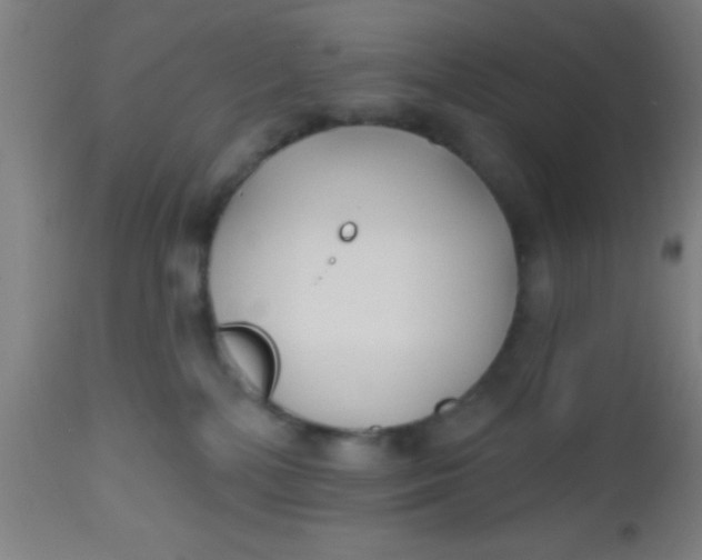 X0000112540232200909071429
