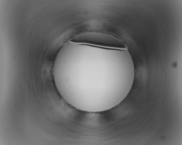 X0000112540233200909071429