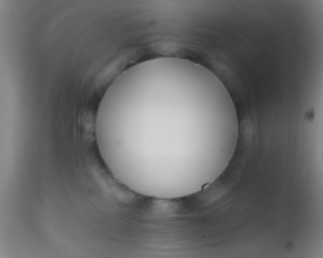 X0000112540234200909071429