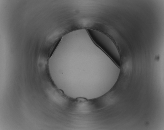 X0000112540235200909071429