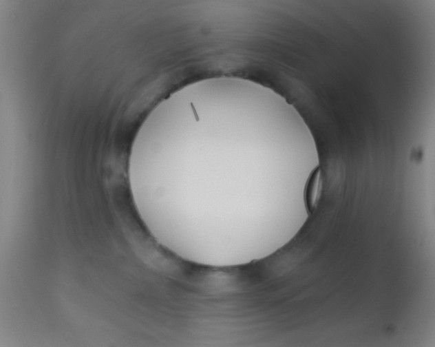 X0000112540236200909071429