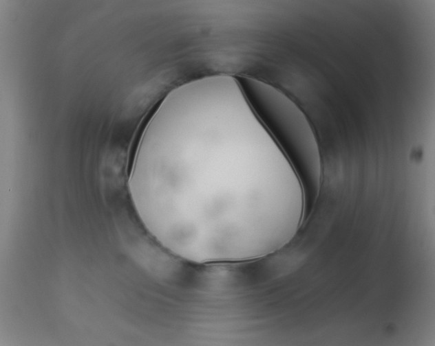 X0000112540237200909071429