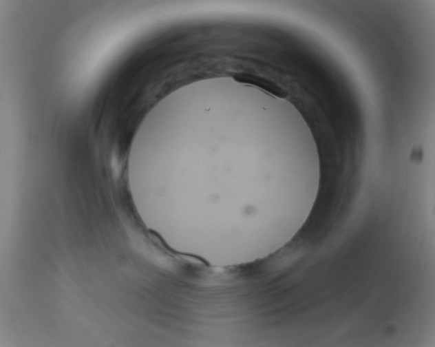 X0000112540239200909071429