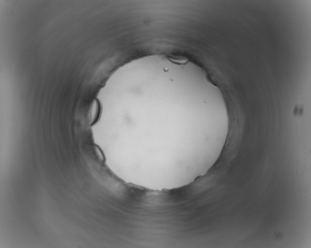 X0000112540240200909071429