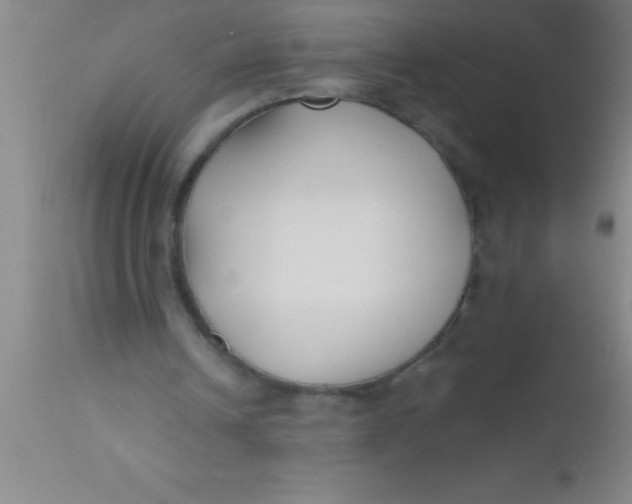 X0000112540242200909071428