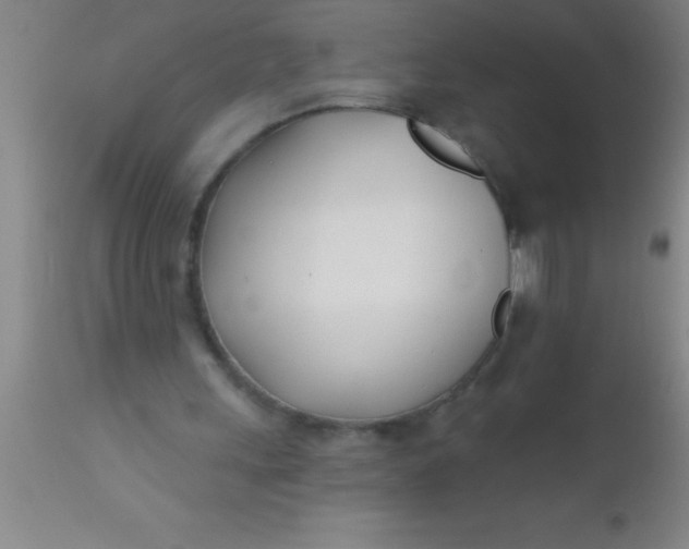 X0000112540243200909071428