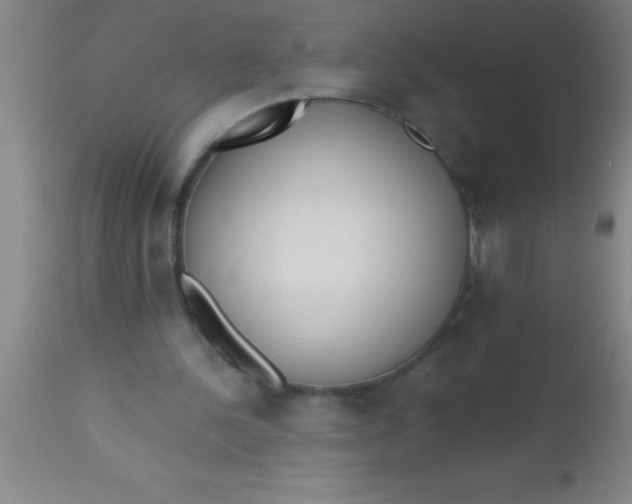 X0000112540244200909071428