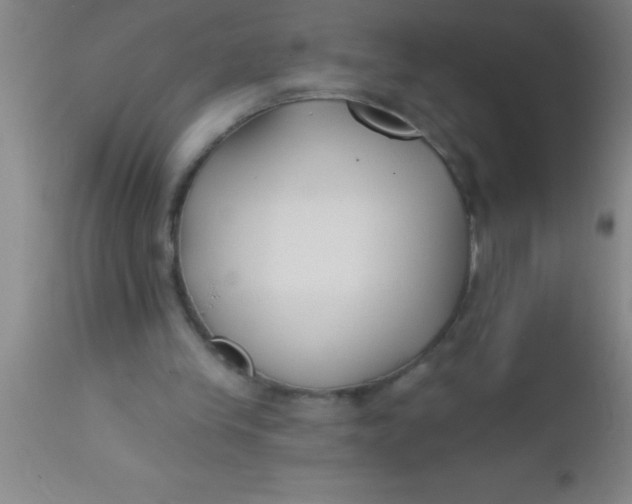 X0000112540245200909071428