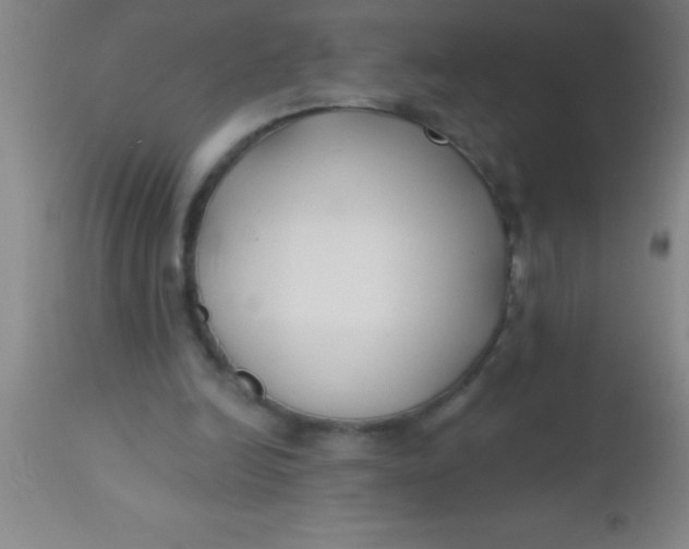 X0000112540246200909071428