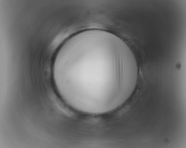 X0000112540247200909071428