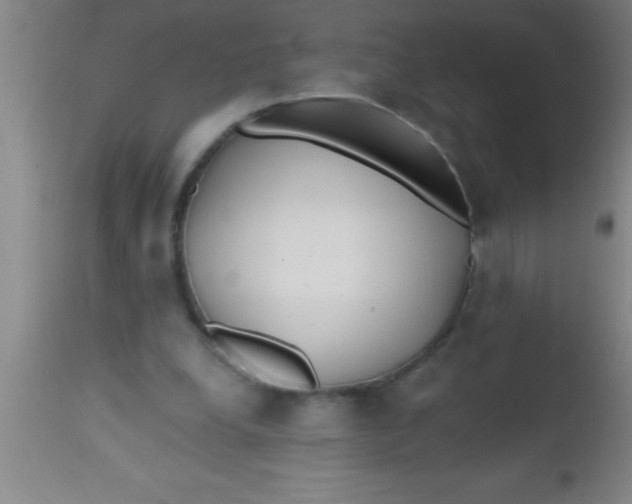 X0000112540248200909071428