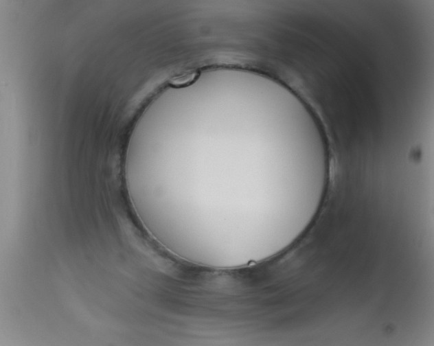 X0000112540249200909071428