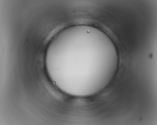 X0000112540250200909071428