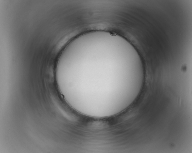 X0000112540251200909071428