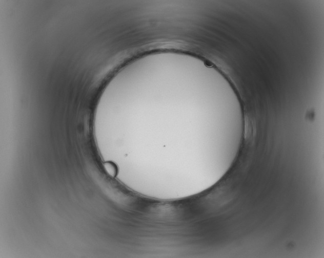 X0000112540253200909071428