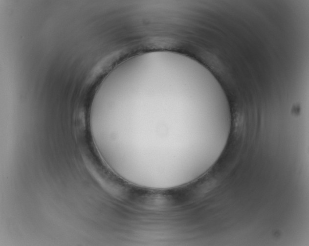 X0000112540254200909071428