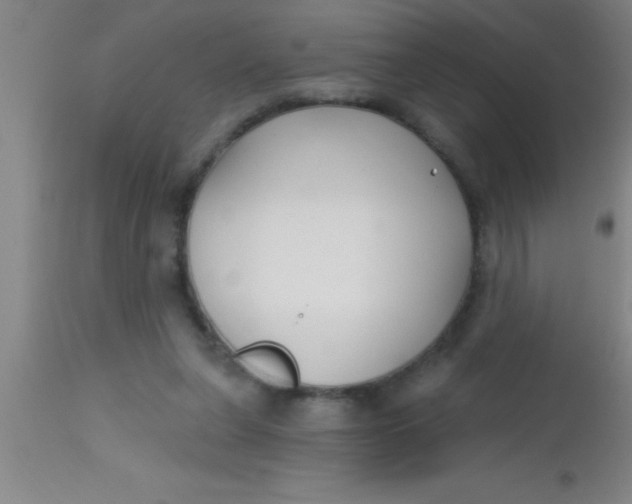 X0000112540255200909071428