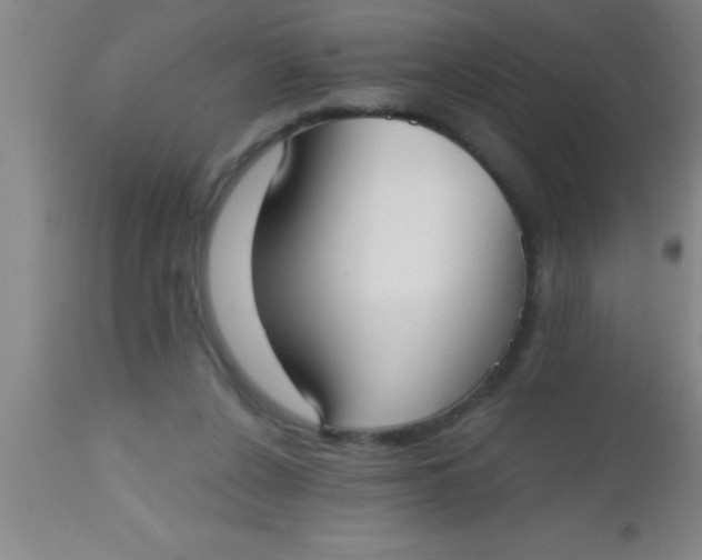 X0000112540256200909071428
