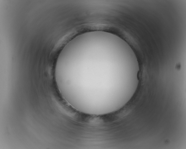X0000112540258200909071428