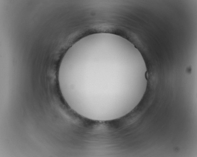 X0000112540259200909071428