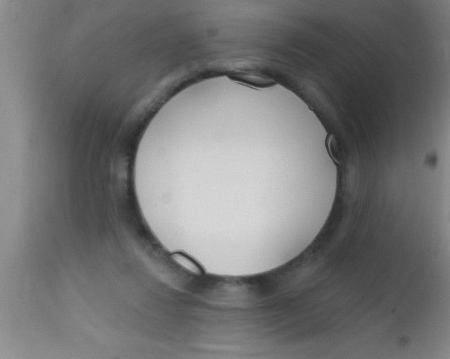 X0000112540260200909071428