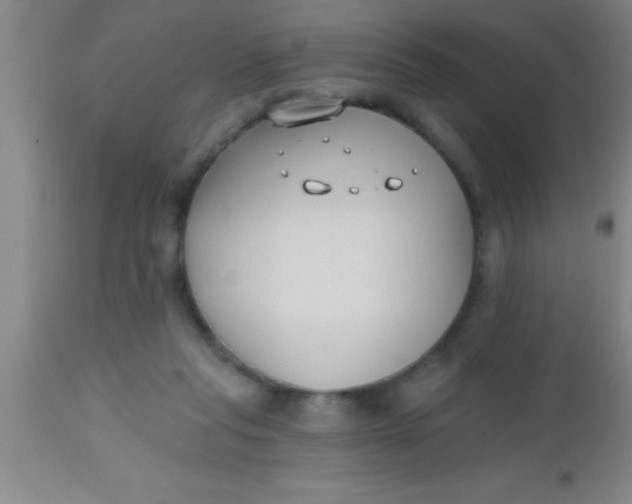 X0000112540261200909071428