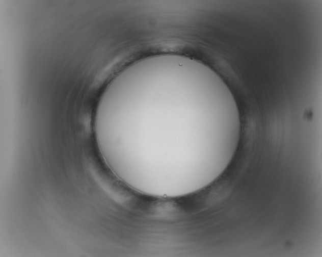 X0000112540262200909071428