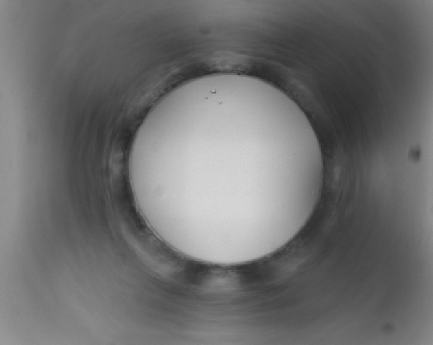 X0000112540263200909071428