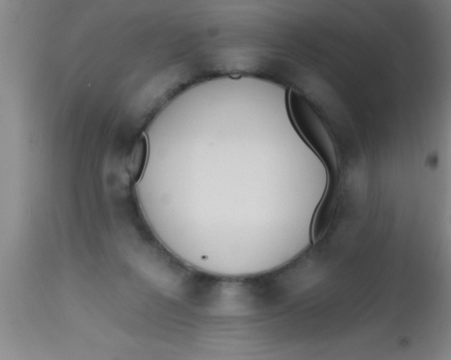 X0000112540264200909071428