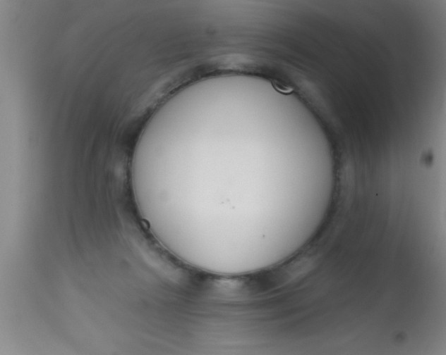 X0000112540265200909071428