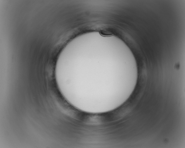 X0000112540268200909071428