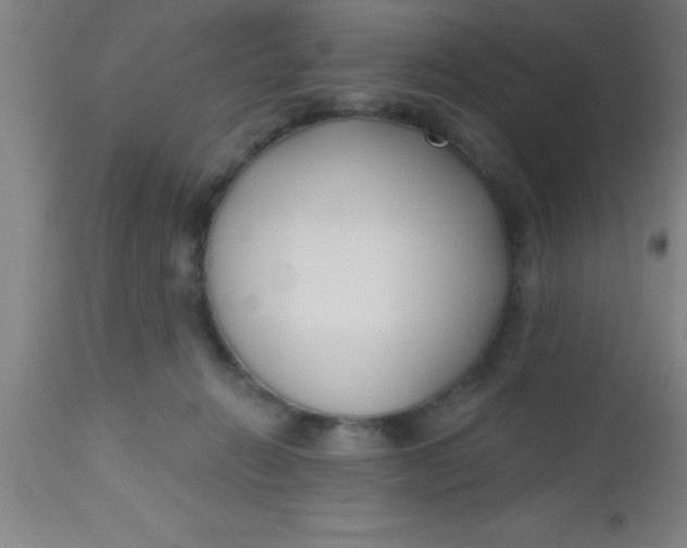 X0000112540270200909071428