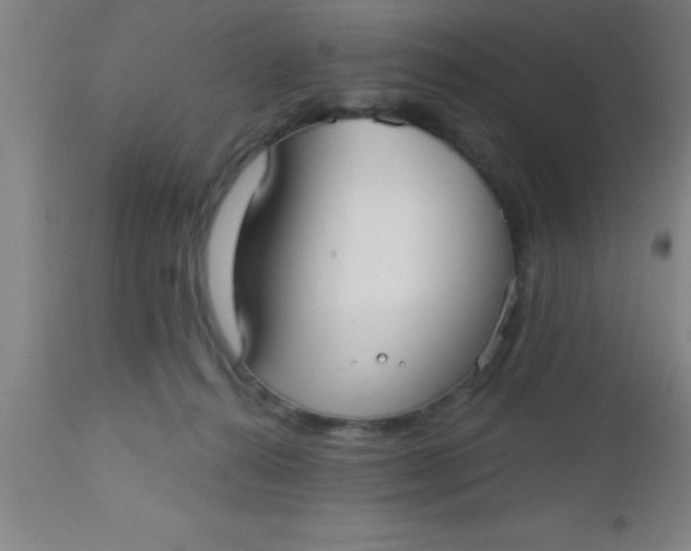 X0000112540272200909071429