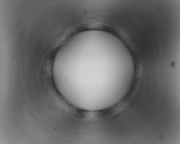 X0000112540273200909071429