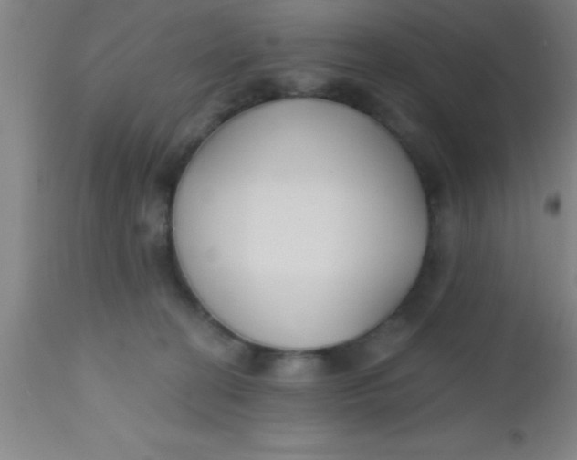 X0000112540274200909071429