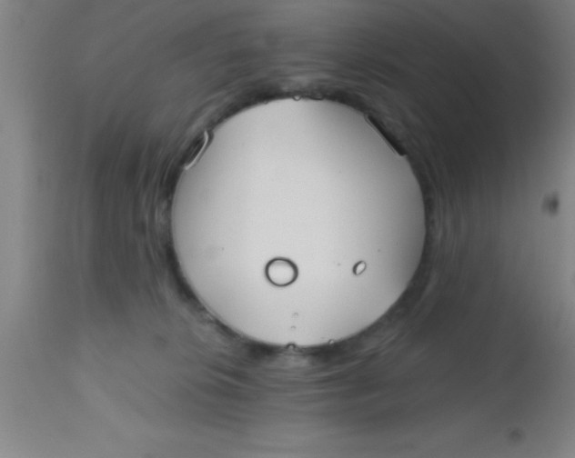 X0000112540276200909071429