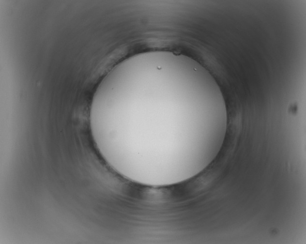 X0000112540277200909071429