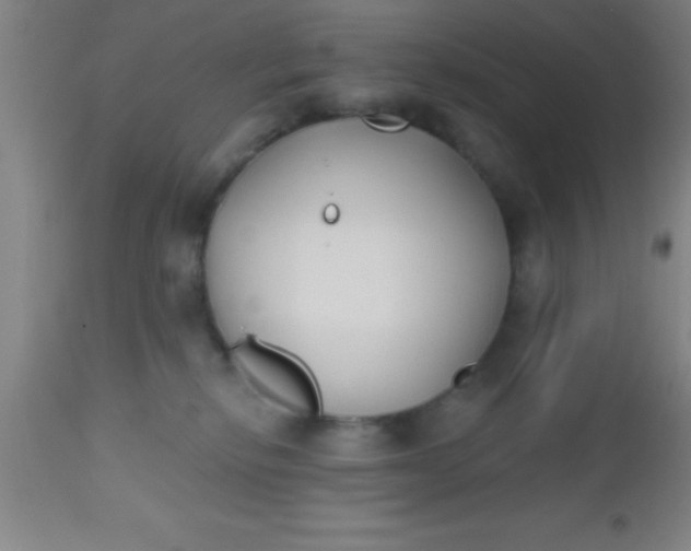 X0000112540278200909071429