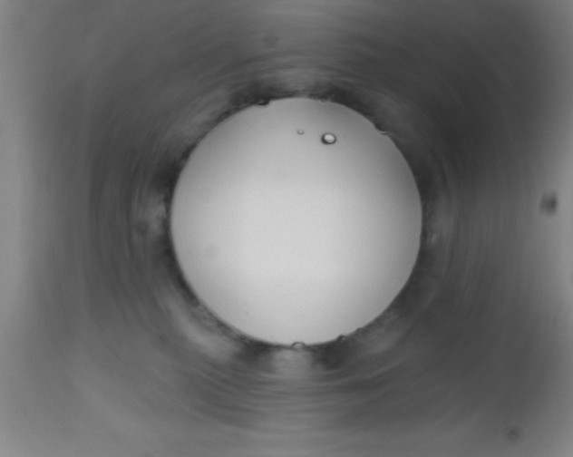 X0000112540279200909071429