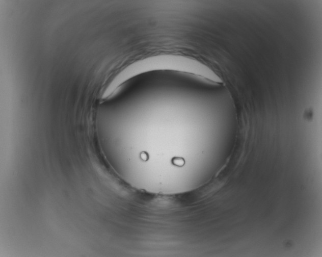X0000112540280200909071429