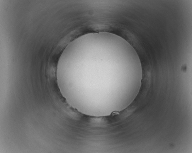 X0000112540281200909071429