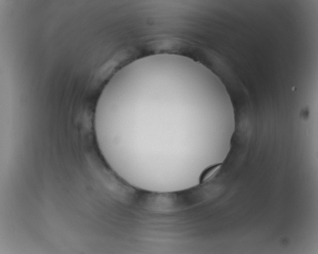 X0000112540282200909071429